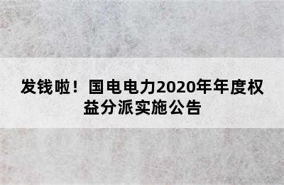 发钱啦！国电电力2020年年度权益分派实施公告