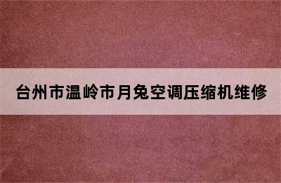 台州市温岭市月兔空调压缩机维修