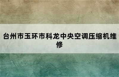 台州市玉环市科龙中央空调压缩机维修