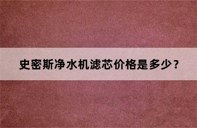 史密斯净水机滤芯价格是多少？