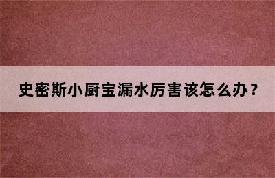 史密斯小厨宝漏水厉害该怎么办？