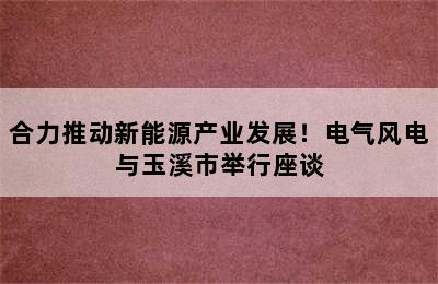 合力推动新能源产业发展！电气风电与玉溪市举行座谈