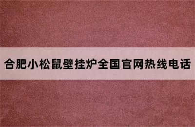 合肥小松鼠壁挂炉全国官网热线电话