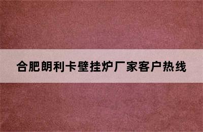 合肥朗利卡壁挂炉厂家客户热线