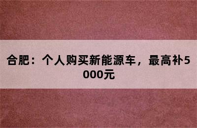 合肥：个人购买新能源车，最高补5000元