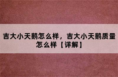 吉大小天鹅怎么样，吉大小天鹅质量怎么样【详解】