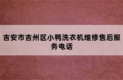 吉安市吉州区小鸭洗衣机维修售后服务电话