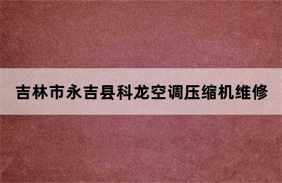 吉林市永吉县科龙空调压缩机维修