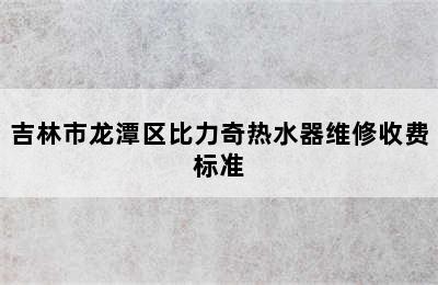 吉林市龙潭区比力奇热水器维修收费标准