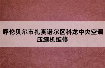 呼伦贝尔市扎赉诺尔区科龙中央空调压缩机维修