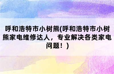 呼和浩特市小树熊(呼和浩特市小树熊家电维修达人，专业解决各类家电问题！)