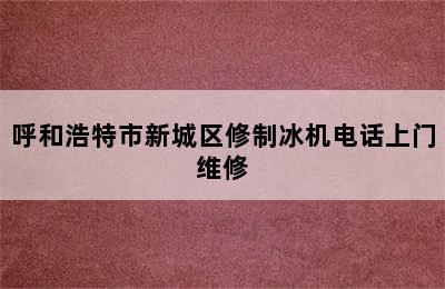 呼和浩特市新城区修制冰机电话上门维修