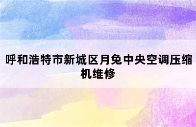 呼和浩特市新城区月兔中央空调压缩机维修