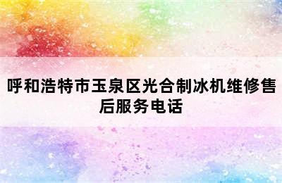 呼和浩特市玉泉区光合制冰机维修售后服务电话