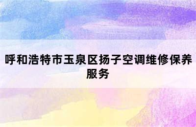 呼和浩特市玉泉区扬子空调维修保养服务