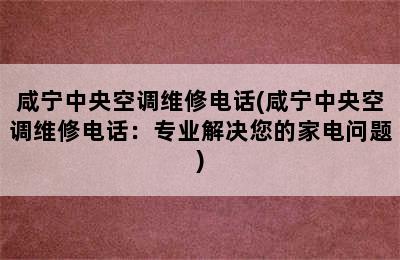 咸宁中央空调维修电话(咸宁中央空调维修电话：专业解决您的家电问题)