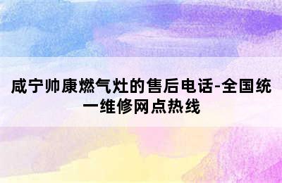 咸宁帅康燃气灶的售后电话-全国统一维修网点热线