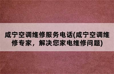 咸宁空调维修服务电话(咸宁空调维修专家，解决您家电维修问题)