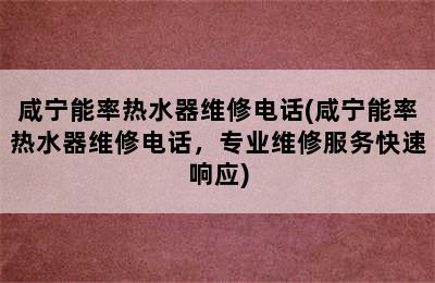 咸宁能率热水器维修电话(咸宁能率热水器维修电话，专业维修服务快速响应)