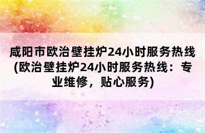 咸阳市欧治壁挂炉24小时服务热线(欧治壁挂炉24小时服务热线：专业维修，贴心服务)