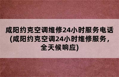 咸阳约克空调维修24小时服务电话(咸阳约克空调24小时维修服务，全天候响应)