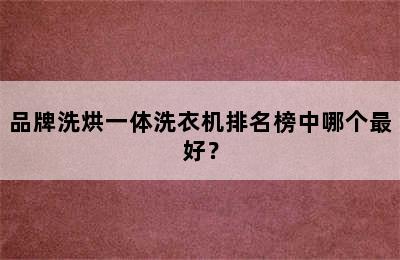 品牌洗烘一体洗衣机排名榜中哪个最好？