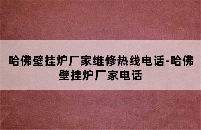 哈佛壁挂炉厂家维修热线电话-哈佛壁挂炉厂家电话