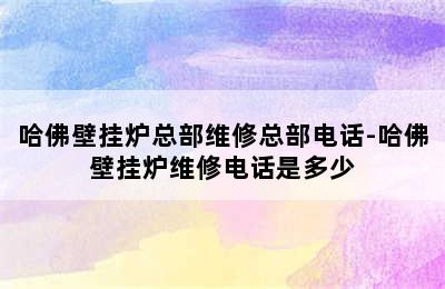 哈佛壁挂炉总部维修总部电话-哈佛壁挂炉维修电话是多少