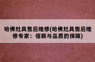 哈佛灶具售后维修(哈佛灶具售后维修专家：信赖与品质的保障)