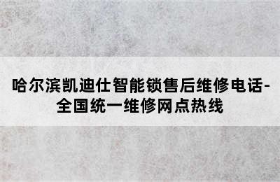 哈尔滨凯迪仕智能锁售后维修电话-全国统一维修网点热线