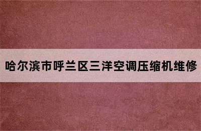 哈尔滨市呼兰区三洋空调压缩机维修