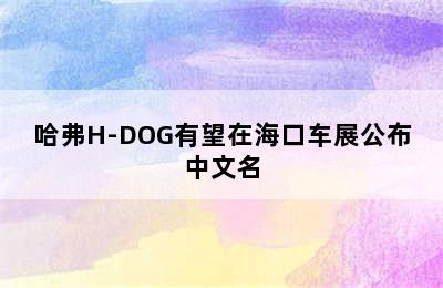 哈弗H-DOG有望在海口车展公布中文名