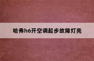 哈弗h6开空调起步故障灯亮