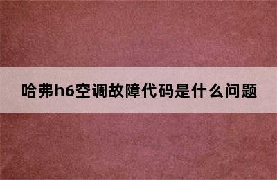 哈弗h6空调故障代码是什么问题