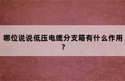 哪位说说低压电缆分支箱有什么作用？