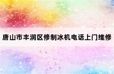 唐山市丰润区修制冰机电话上门维修