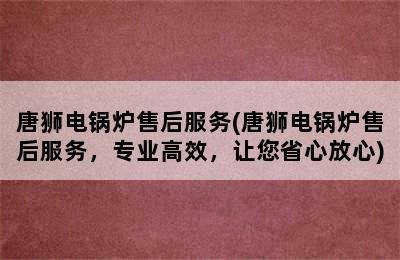 唐狮电锅炉售后服务(唐狮电锅炉售后服务，专业高效，让您省心放心)