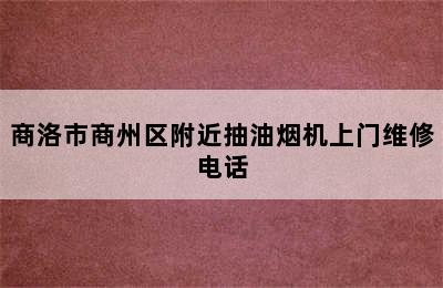 商洛市商州区附近抽油烟机上门维修电话