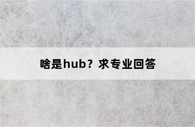 啥是hub？求专业回答