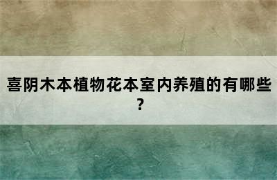 喜阴木本植物花本室内养殖的有哪些？