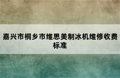 嘉兴市桐乡市维思美制冰机维修收费标准