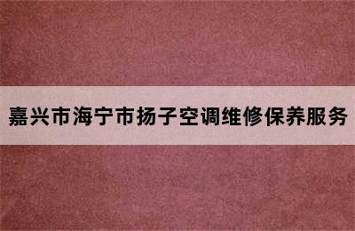 嘉兴市海宁市扬子空调维修保养服务