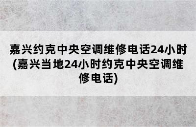 嘉兴约克中央空调维修电话24小时(嘉兴当地24小时约克中央空调维修电话)