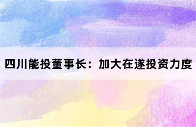 四川能投董事长：加大在遂投资力度