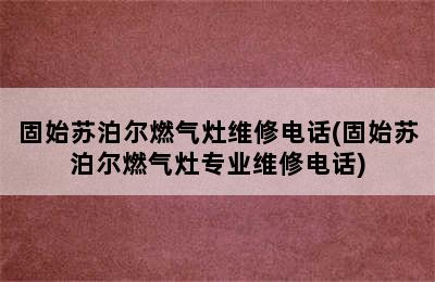 固始苏泊尔燃气灶维修电话(固始苏泊尔燃气灶专业维修电话)