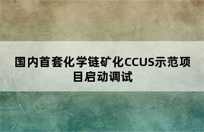 国内首套化学链矿化CCUS示范项目启动调试