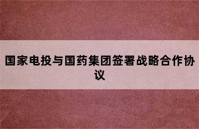 国家电投与国药集团签署战略合作协议