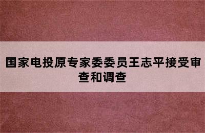 国家电投原专家委委员王志平接受审查和调查