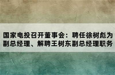 国家电投召开董事会：聘任徐树彪为副总经理、解聘王树东副总经理职务