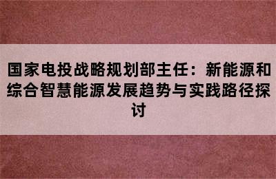 国家电投战略规划部主任：新能源和综合智慧能源发展趋势与实践路径探讨